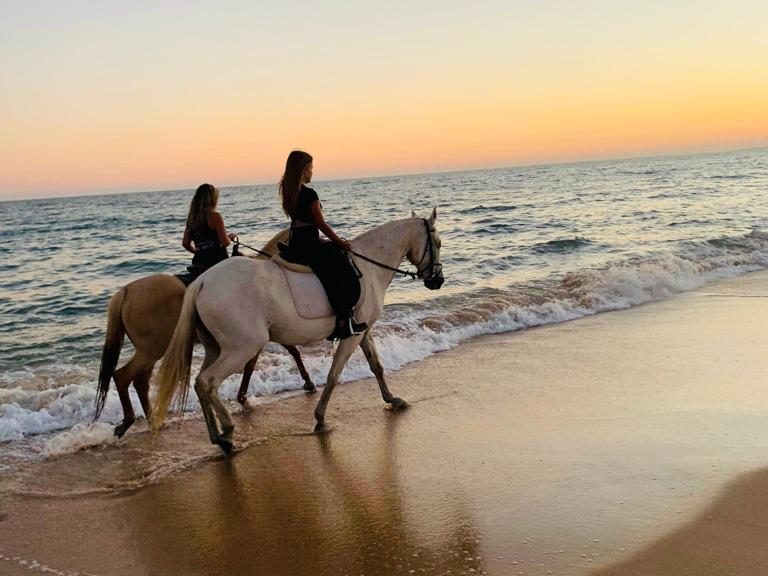Horse Riding on the Beach - See the beautiful sunrise with a horseback ride on the beach! The tour lasts about 1h30m...